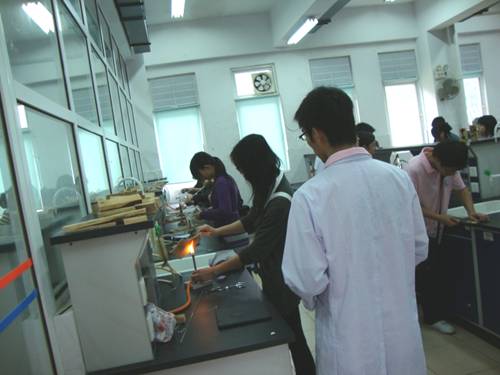 攀化山之巅，享实验精彩 