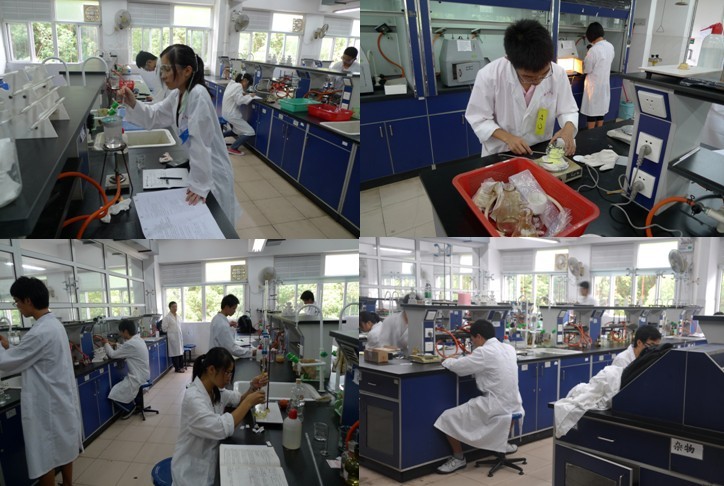 严谨科学•求实创新——记2011年william威廉英国大学生化学实验竞赛 