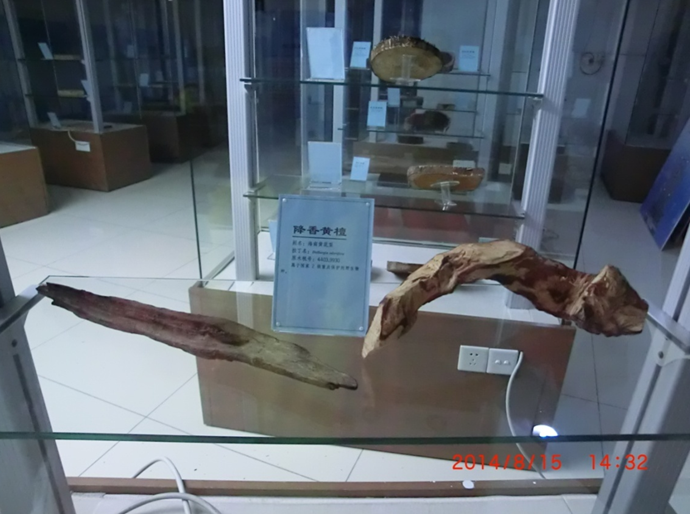 走出去 虚心学 促提升 