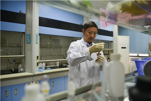 我院纪红兵教授喜获第十四届广东省丁颖科技奖 